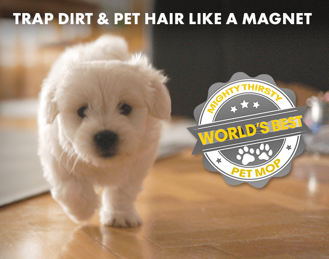 Trap Dirt & Pet Hair Like A Magnet. World's Best Pet Mop.